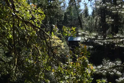 DSC_6449 (Large).JPG